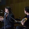 XXII Festival flamenco