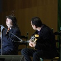 XXII Festival flamenco