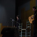XXII Festival flamenco