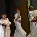 XXII Festival flamenco