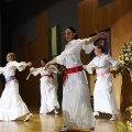 XXII Festival flamenco
