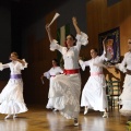 XXII Festival flamenco