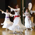 XXII Festival flamenco