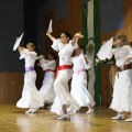 XXII Festival flamenco