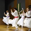 XXII Festival flamenco