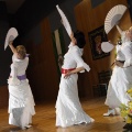 XXII Festival flamenco