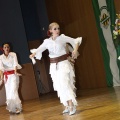 XXII Festival flamenco
