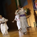XXII Festival flamenco