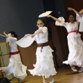 XXII Festival flamenco