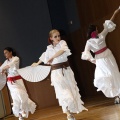 XXII Festival flamenco