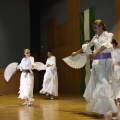XXII Festival flamenco