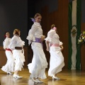 XXII Festival flamenco