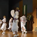 XXII Festival flamenco