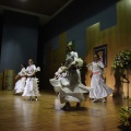 XXII Festival flamenco