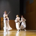 XXII Festival flamenco
