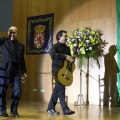 XXII Festival flamenco