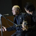 XXII Festival flamenco