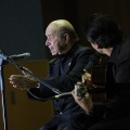 XXII Festival flamenco