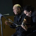 XXII Festival flamenco