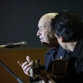 XXII Festival flamenco