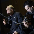 XXII Festival flamenco