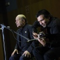 XXII Festival flamenco