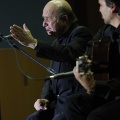 XXII Festival flamenco