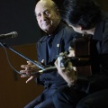 XXII Festival flamenco