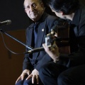 XXII Festival flamenco