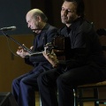 XXII Festival flamenco