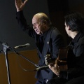 XXII Festival flamenco
