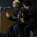 XXII Festival flamenco