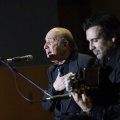 XXII Festival flamenco