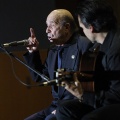 XXII Festival flamenco