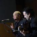 XXII Festival flamenco