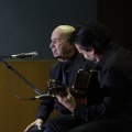 XXII Festival flamenco