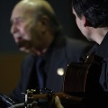 XXII Festival flamenco