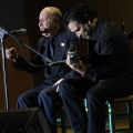 XXII Festival flamenco