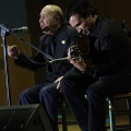 XXII Festival flamenco
