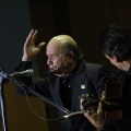 XXII Festival flamenco