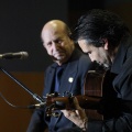 XXII Festival flamenco