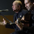 XXII Festival flamenco
