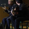 XXII Festival flamenco