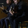 XXII Festival flamenco