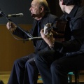 XXII Festival flamenco