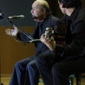 XXII Festival flamenco