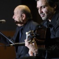 XXII Festival flamenco