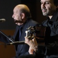 XXII Festival flamenco