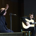 XXII Festival flamenco