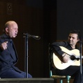 XXII Festival flamenco